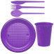 Economical Disposable TableWare Violet